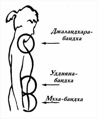 Для чего в йоге нужны бандхи. Смотреть фото Для чего в йоге нужны бандхи. Смотреть картинку Для чего в йоге нужны бандхи. Картинка про Для чего в йоге нужны бандхи. Фото Для чего в йоге нужны бандхи